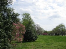 tower grove park spring, 2012
